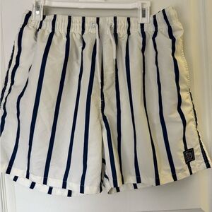 White and Navy Striped Shorts